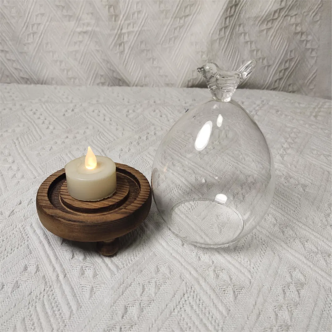 Display Decorative Large Glass Dome with Wooden Base for Christmas